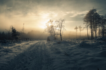Fototapeta na wymiar Winter in Deutschland, verschneite Landschaften
