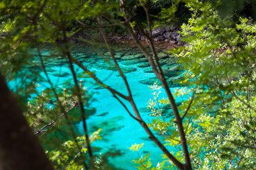 Cornino Lake Awesome Turquoise Blue Colors Trough Tree Branches in Springtime in Friuli Venezia Giulia Italy