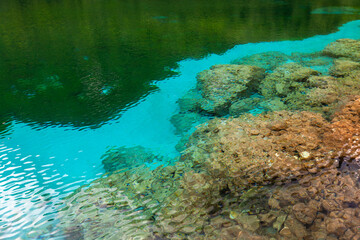 Cornino Lake incredible Turquoise Blue Colors in Friuli Venezia Giulia Italy
