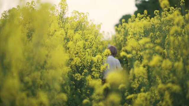 Dziecko na wsi pośród pól żółtego, kwitnącego rzepaku