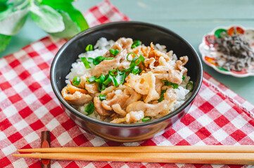 ネギ塩風味の豚丼