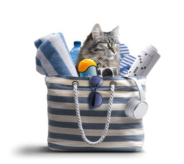 Take your pet on vacation