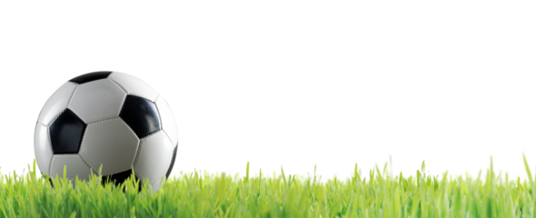 Soccer ball on the grass