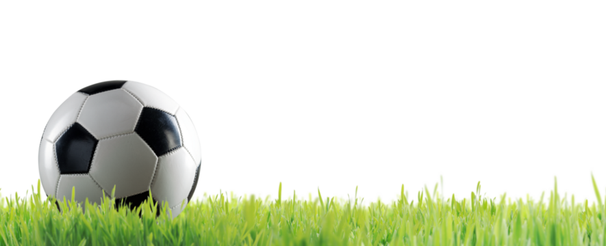 Soccer ball on the grass