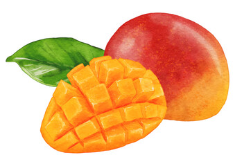 みずみずしいリアルなマンゴーのイラスト葉っぱ付き