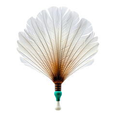 Shuttlecock on transparent background