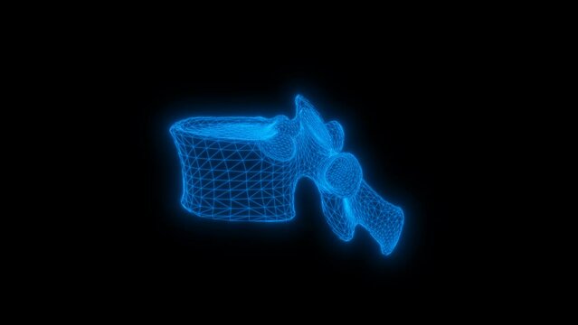 4k  Human toracic vertebra T-10 technology video,  Human toracic vertebra T-10 technology video,  Human toracic vertebra T-10k 360 turn,  Human toracic vertebra T-10 wireframe video