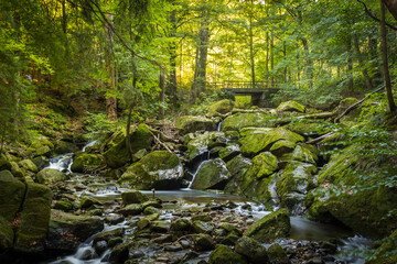 Grüner Wald mit schönem Fluss und Brücke in der Harzregion in der Nähe von Ilsenburg, Deutschland