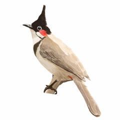 hand drawn style red whiskered bulbul bird standing on the branches of the tree vector