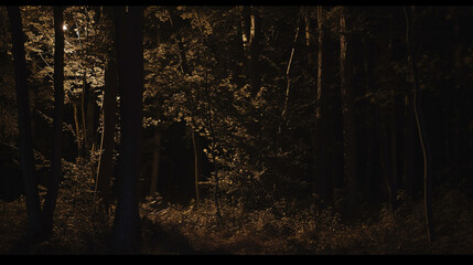 Dark Moody Landscape. Cinematic Photos in the Dark Forest. Horror Forest.