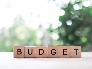 Wooden blocks with the word BUDGET. The concept about budget planning and allocation