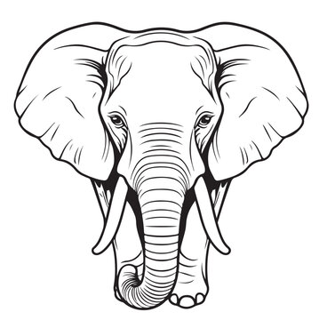 Elephant Cartoon , hand drawn wild animal illustration, Isolated Vector illustration