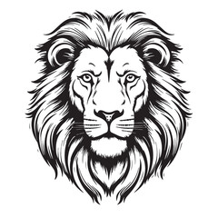 Lion portrait lion head sketch hand drawn engraving style Wild animals Vector illustration