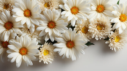 Fototapeta premium Bouquet of white daisies on a white background