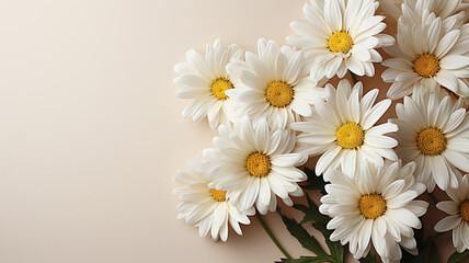Fototapeta na wymiar Bouquet of white daisies on a white background