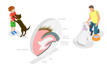3D Isometric Flat  Conceptual Illustration of Dog Nail Trimming, Veterinary Pedicure