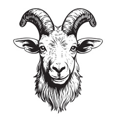 Goat head animal sketch hand drawn Vector illustration,farm animals