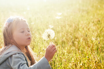 Little girl gently blowing dandelion in a picturesque field.






