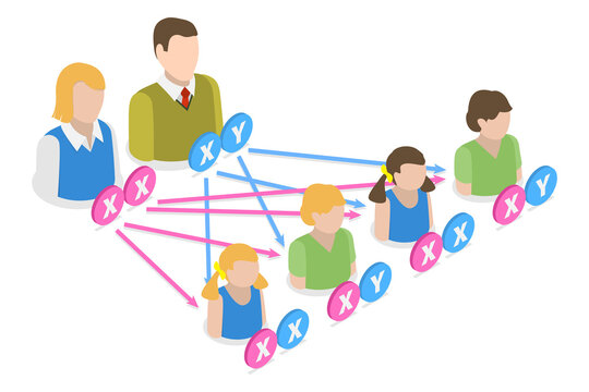 3D Isometric Flat  Conceptual Illustration of Heredity, Educational Biology Scheme