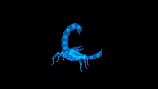 4k yellow scorpion technology video, yellow scorpiontechnology video, yellow scorpion 360 turn, yellow scorpion wireframe video