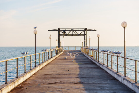 Seaside pier, seagulls on the railing. High quality photo