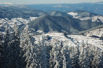 Obraz premium Texture of winter mountains. Winter landscape with snow covered trees. snowy landscape in the mountains. Winter view of mountain peaks and forest covered with snow. Snowy forest with pine trees. 