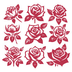 Roses vector illustrations