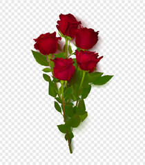 Bouquet of realistic roses on transparent background. Perfect for background greeting cards and invitations of the wedding, birthday, Valentine's Day, Mother's Day,March 8th.