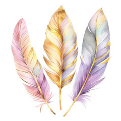 Gold edged Feather