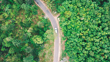 high view of a forest dan highway