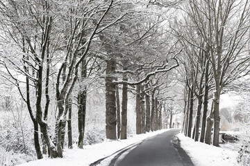 Country road through the snowy landscape.