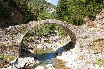 Fototapeta na wymiar Ancient Roman bridge along the road to Anso, Spain. Ordesa valley