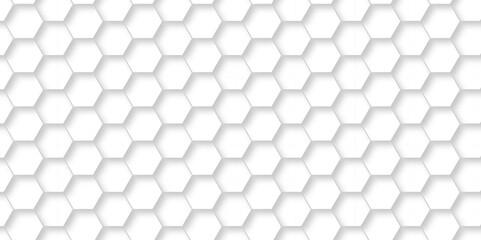 	
Abstract pattern with hexagonal white and gray technology line paper background. Hexagonal 3d vector grid tile and mosaic structure mess cell. white and gray hexagon honeycomb geometric copy space.