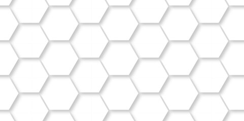 	
Background hexagons White Hexagonal Luxury honeycomb grid White Pattern. Vector Illustration. 3D Futuristic abstract honeycomb mosaic white wallpaper background. Abstract geometric mesh cell texture