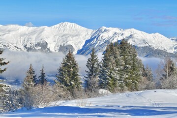 Winter scenery with Mont Blanc mountain in French alps. 