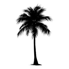 silhouette coconut tree black color only