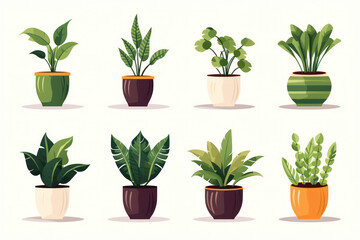 Green Houseplant Collection: Botanical Illustration of Decorative Indoor Plants Set in White Pots