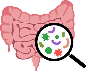 Illustration a Doctor Examines of the Colon and Harmful Bacteria