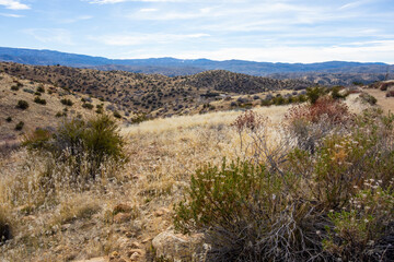 Fototapeta na wymiar Views of the desert landscape hiking in the northern Mojave Desert area of the San Bernardino National Forest