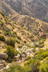 Fototapeta na wymiar Deep Creek Hot Springs, in a valley in the San Bernardino National Forest, seen from above while hiking down towards it.