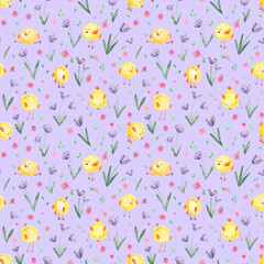 Little cute cartoon yellow chicks and fields with violet purple crocus flowers and pink florets.Spring natural botanical background on violet,easter backdrop