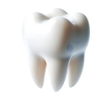 Tooth isolated on transparent or white background. Png