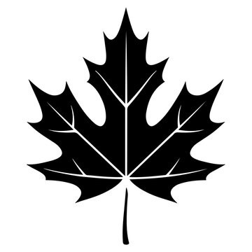 maple leaf icon illustration, maple leaf black silhouette logo svg vector