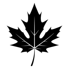 maple leaf icon illustration, maple leaf black silhouette logo svg vector