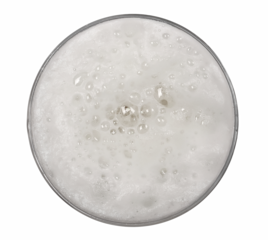 Glass of beer with bubble isolated on white, top view	