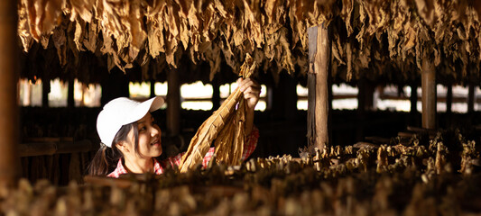 Farmer utilize the core data network in the Internet from the tablet to validate,test,and looks and...