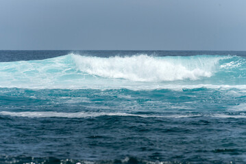 beach landscape with the sea and waves and cliffs of the coasts of the Galapagos Islands in the Pacific Ocean with blue and green water and volcanic rocks