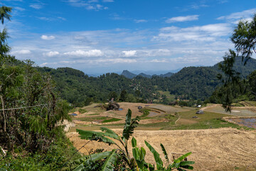 Fototapeta na wymiar Landscape views of Tana Toraja, trekking in the rural area, rice fields, Sulawesi, Indonesia