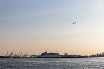 Ships float across the North Sea. Windmills in the background. Sea port in the Netherlands. A lot of cranes for loading goods. Different ships and barges. - 713387227