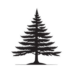 Pine Tree Icon